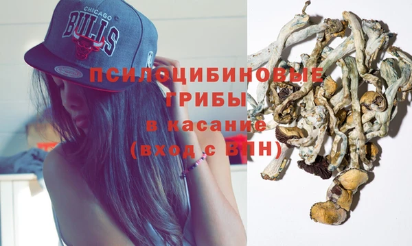 твердый Аркадак