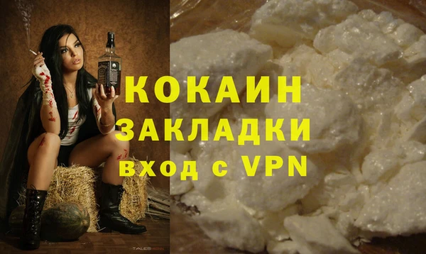 твердый Аркадак